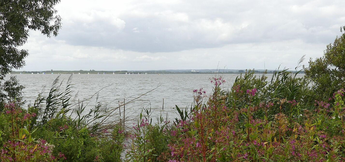 Am Dümmer Dümmer