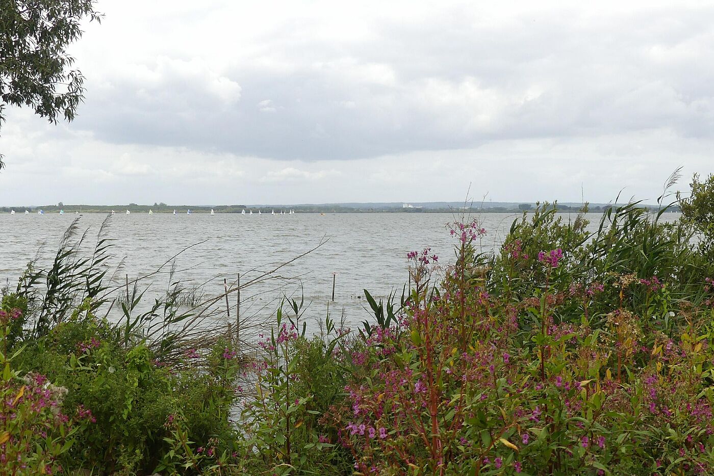 Dümmer