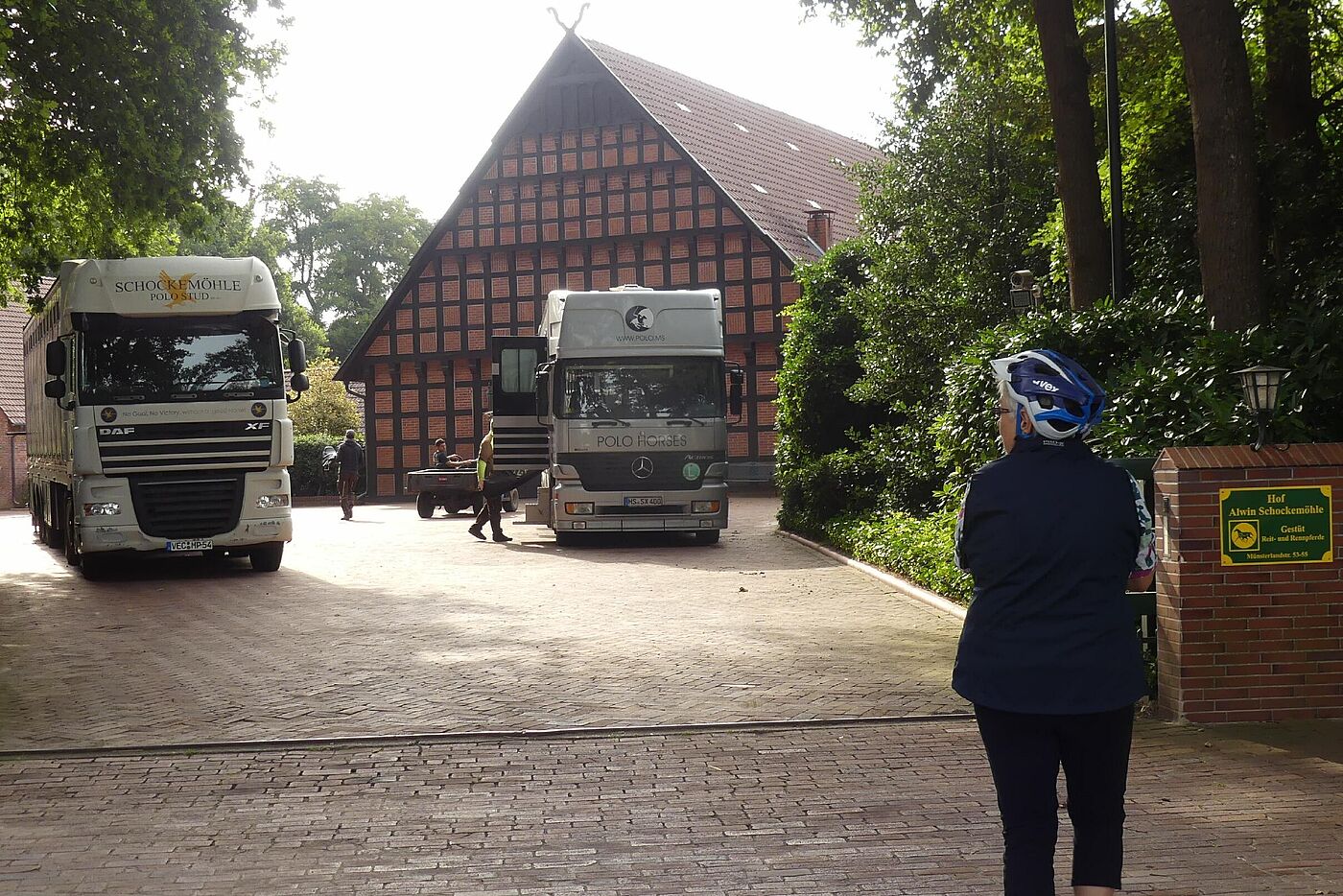 Gestüt Alwin Schockemöhle