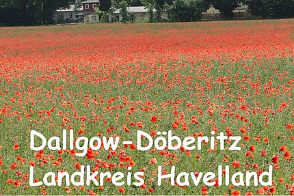 Dallogw-Döberitz