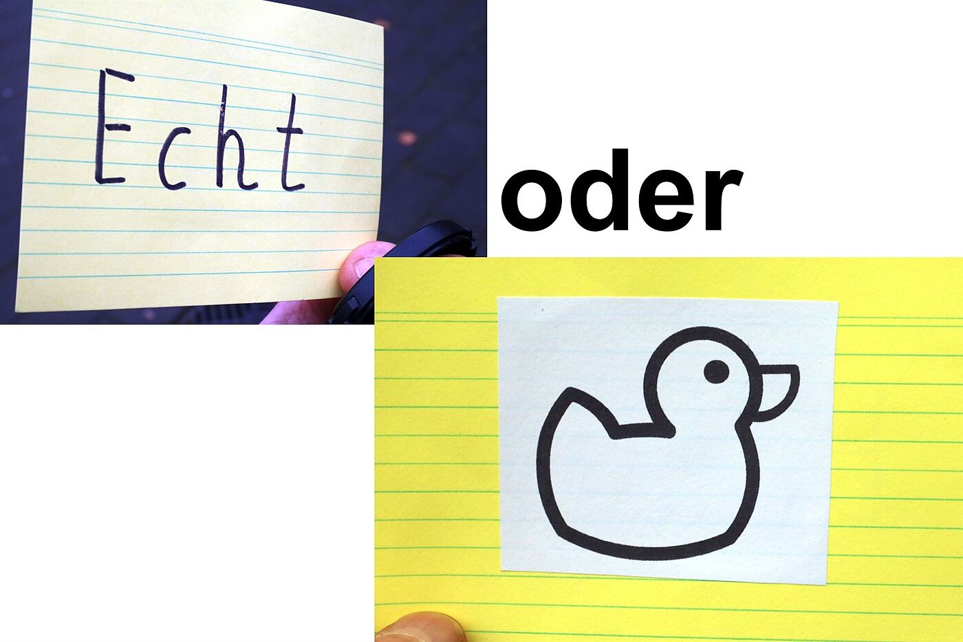 Echt oder Ente Echt oder Ente