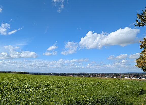 Landschaft