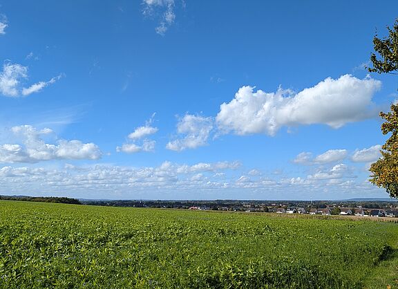 Landschaft