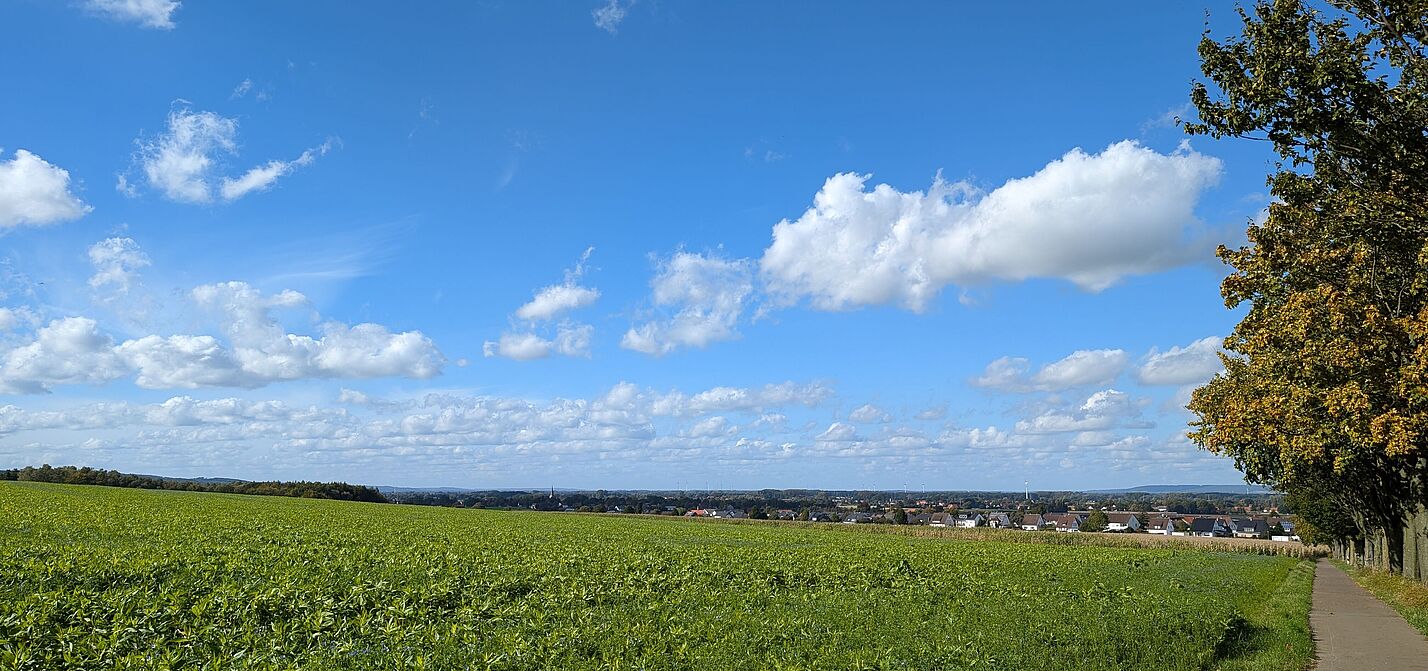 Landschaft auf dem Lübbecker Landweg Landschaft