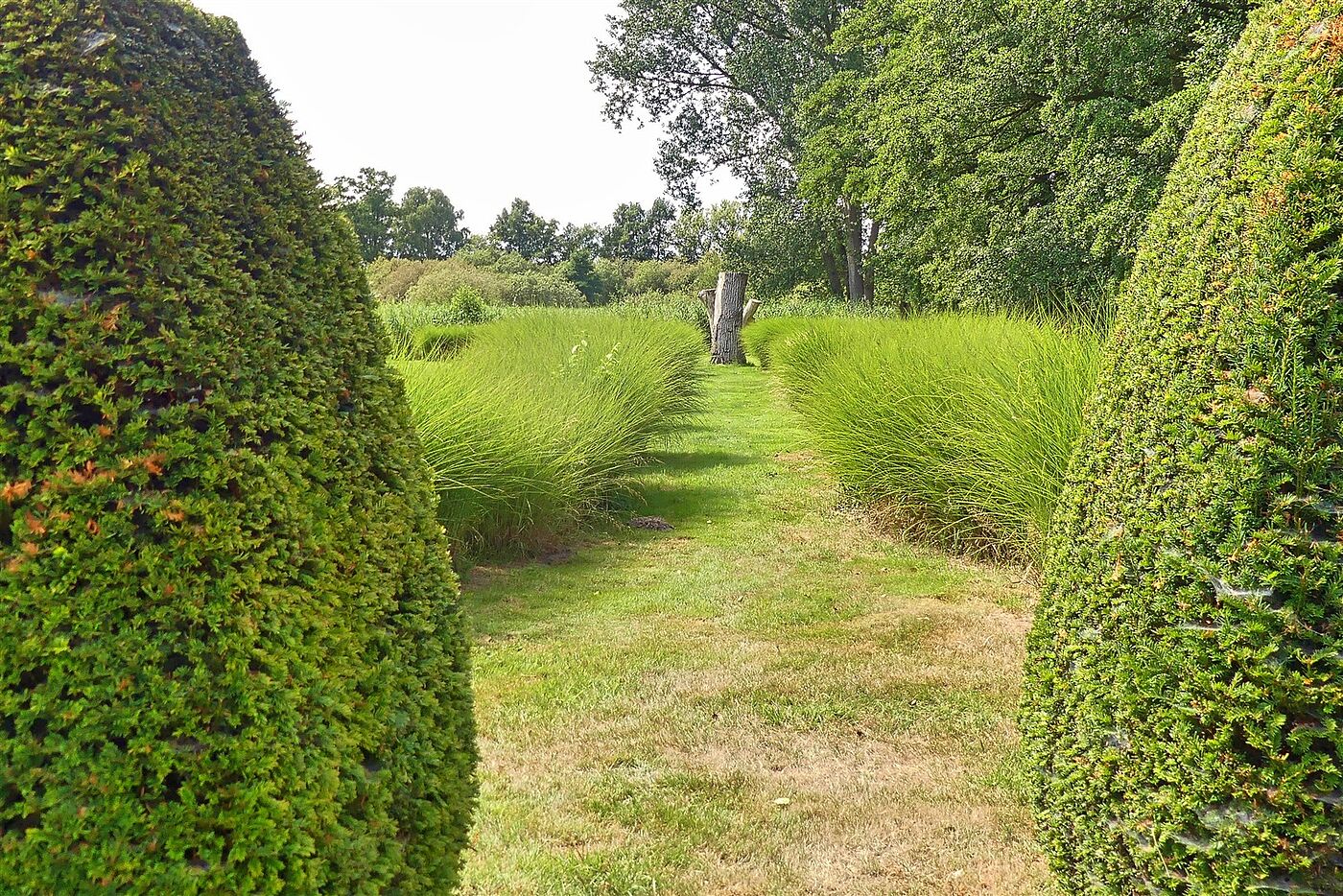 Skulpturengarten am Dümmer