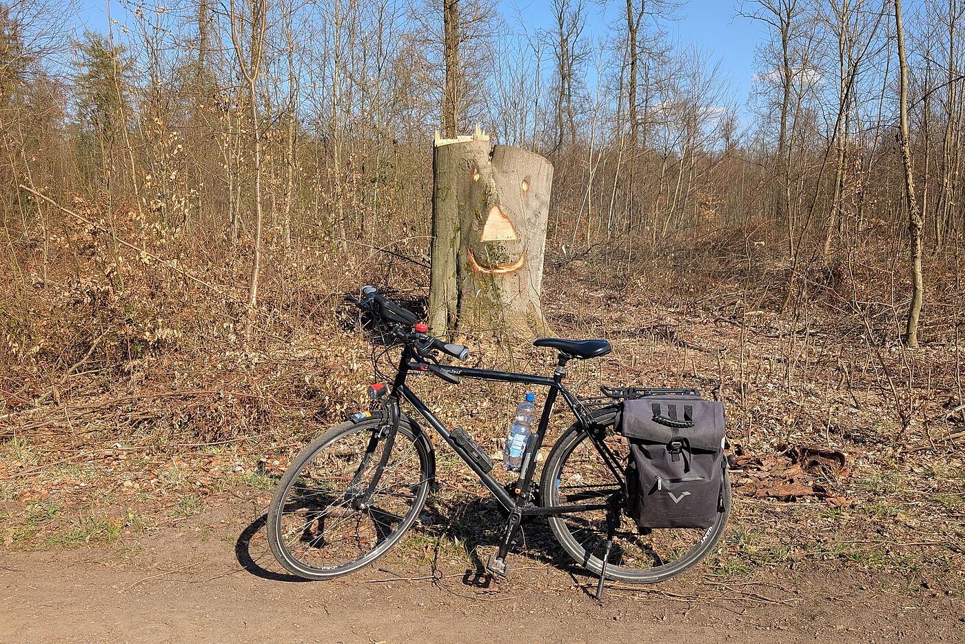 Smiley im Wald