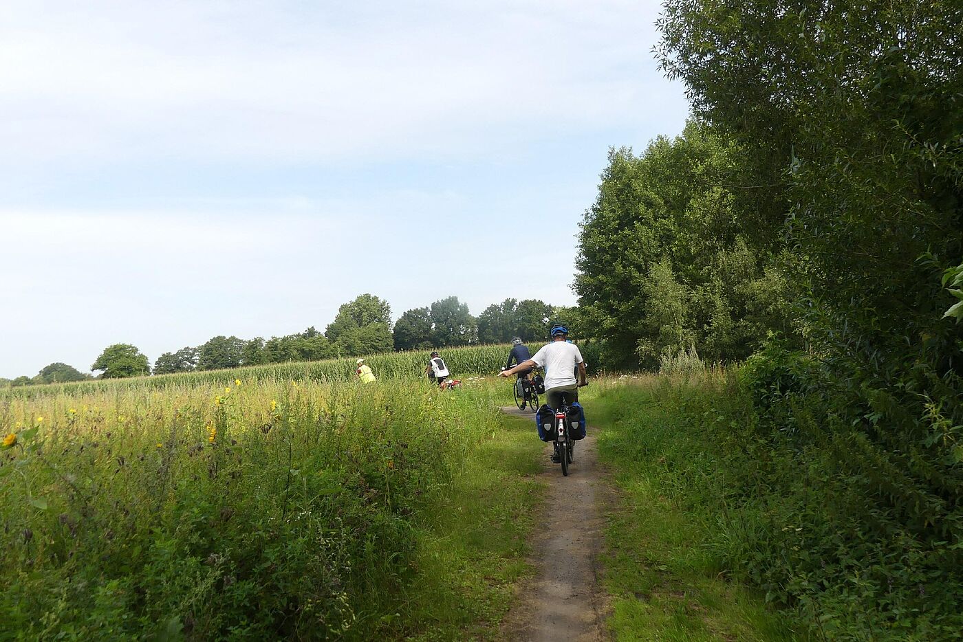 Singletrail