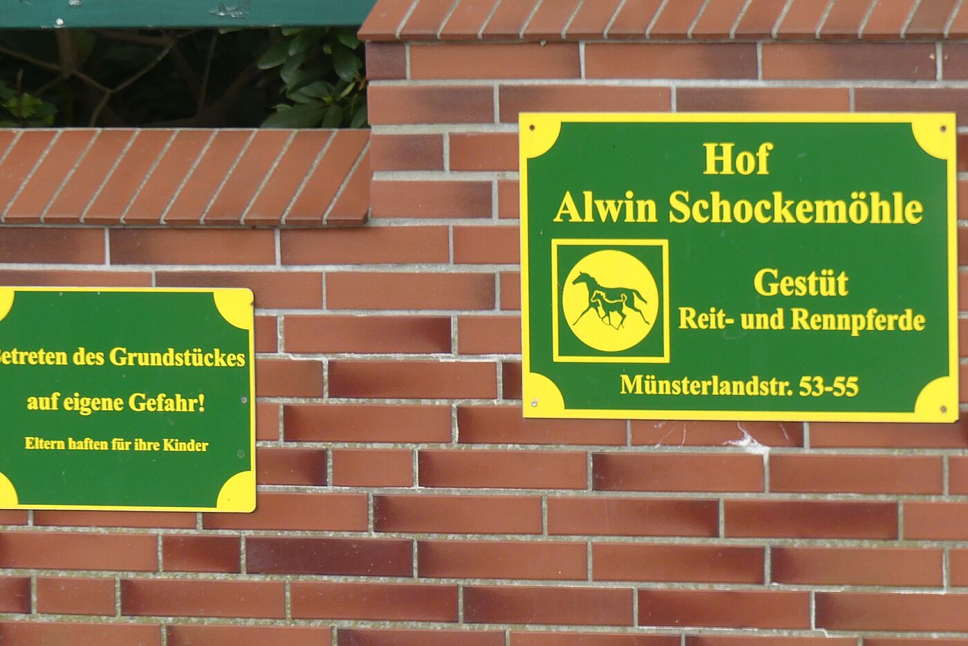 Gestüt Alwin Schockemöhle
