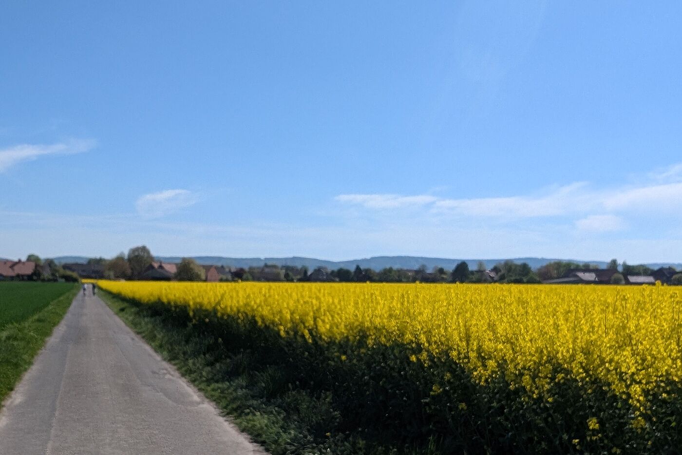 Frühlingslandschaft