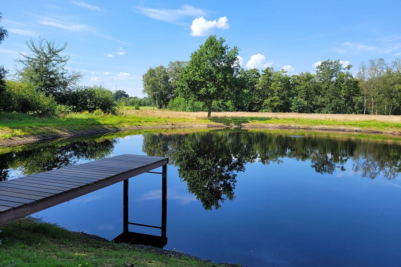 Schwimmteich in Lui's Garten