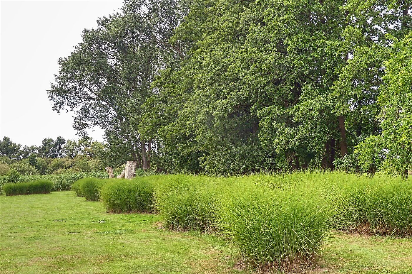 Skulpturengarten am Dümmer